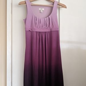 Ann Taylor LOFT dress 2P